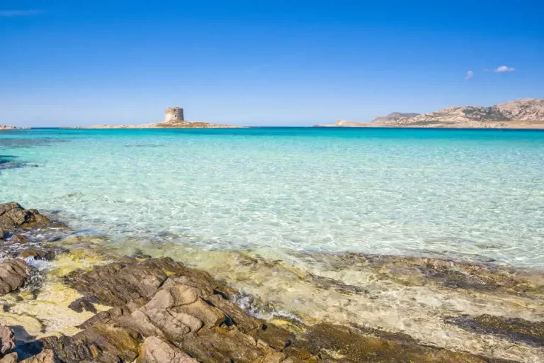 la pelosa stintino
